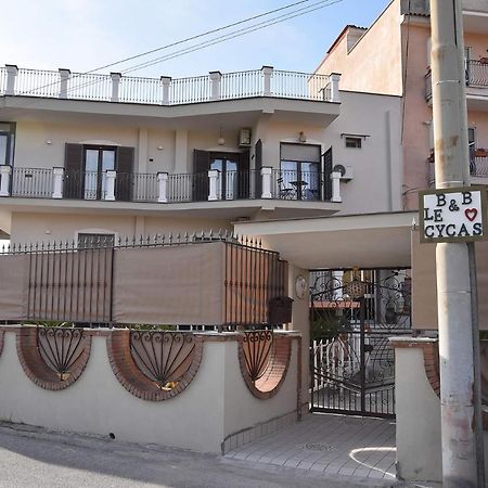 B&B Le Cycas Castellammare di Stabia Buitenkant foto