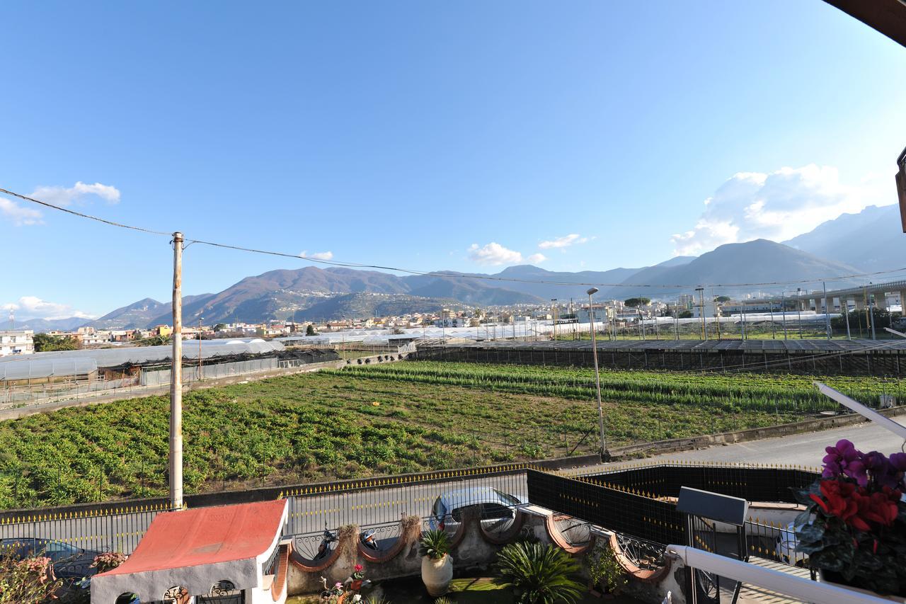 B&B Le Cycas Castellammare di Stabia Buitenkant foto
