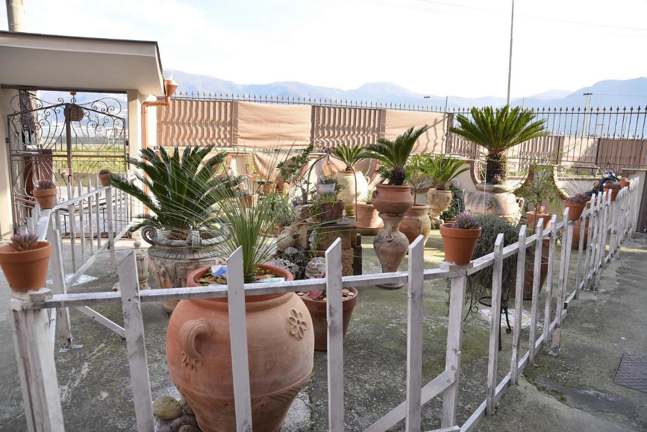 B&B Le Cycas Castellammare di Stabia Buitenkant foto