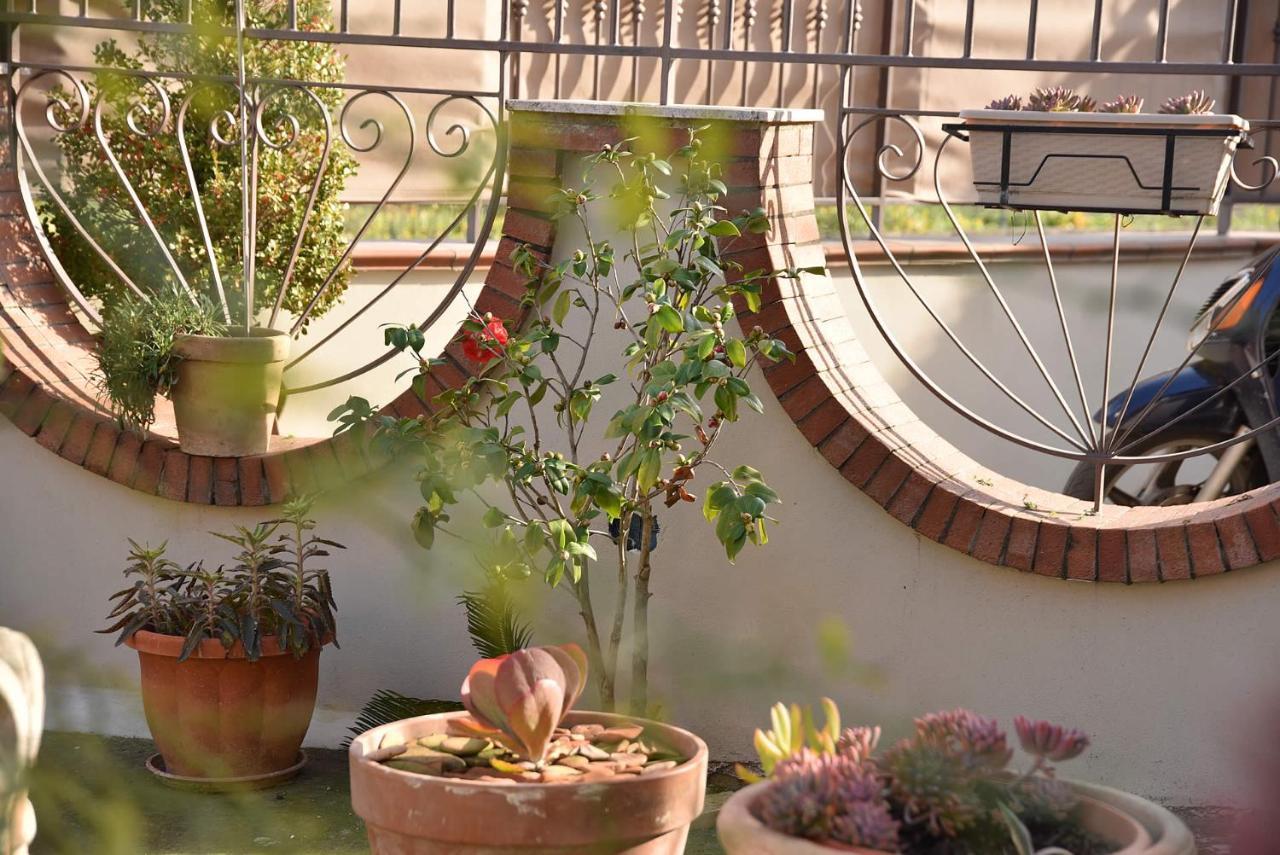B&B Le Cycas Castellammare di Stabia Buitenkant foto